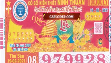 Đại Lý Xổ Số Kiến Thiết Ninh Thuận